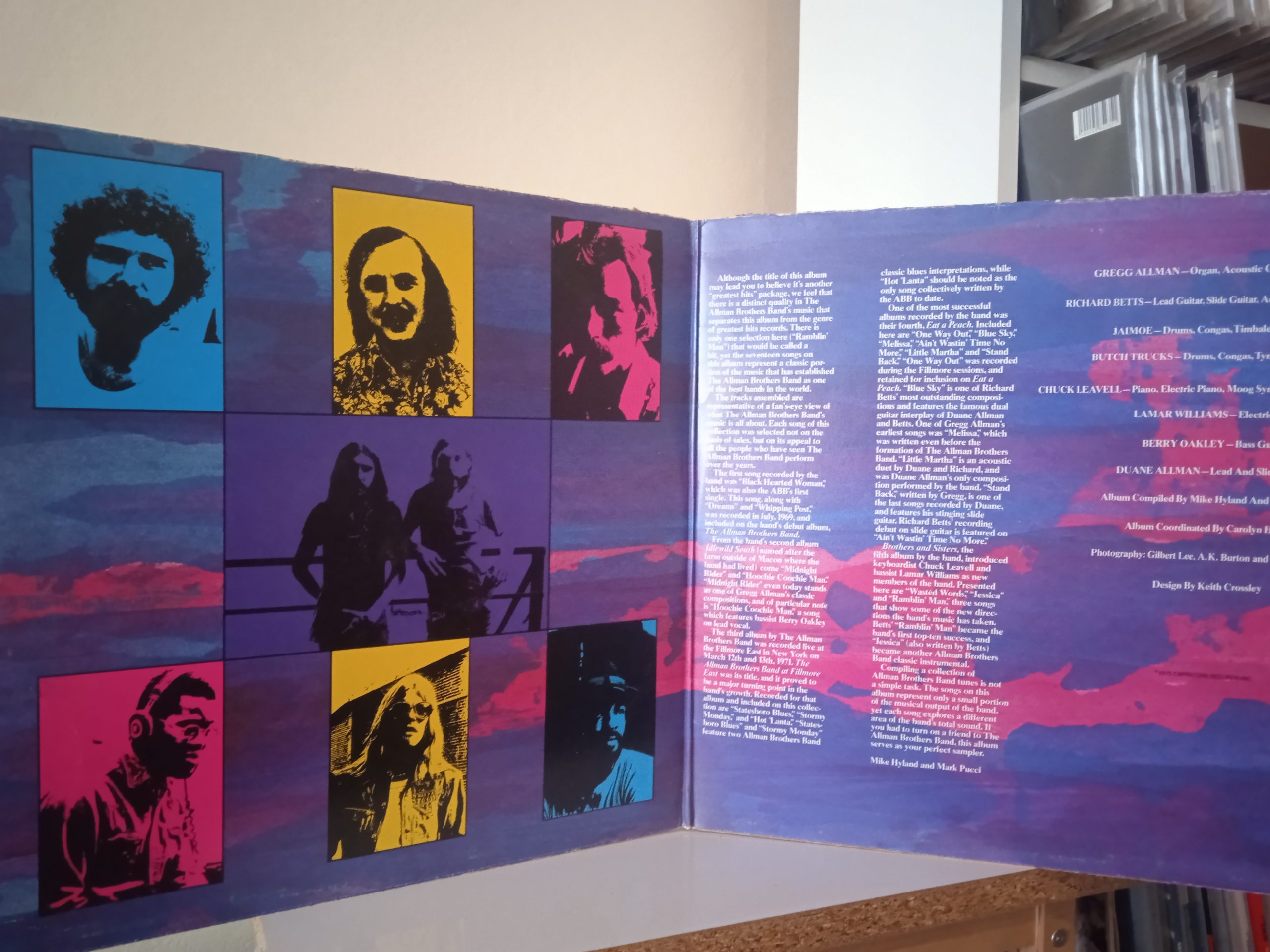 The Allman Brothers Band – The Road Goes On Forever 2LP - Görsel 3