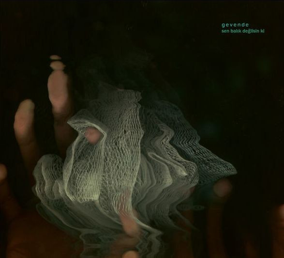 Gevende – Sen Balık Değilsin Ki ( Sealed ) - Görsel 4