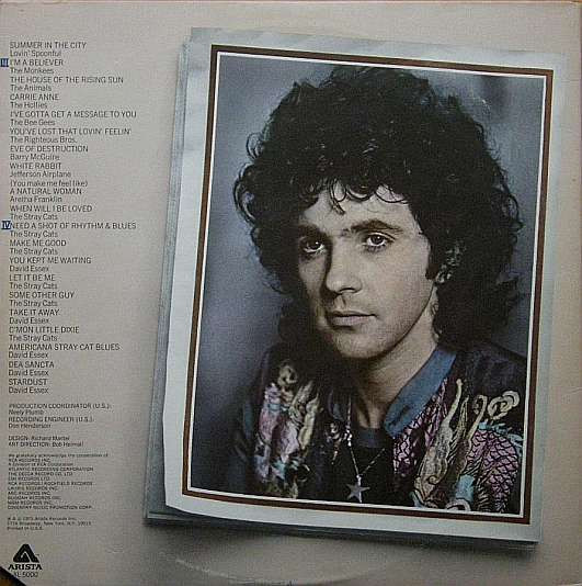 Various – "Stardust" Original Soundtrack Recording 2 LP - Görsel 3