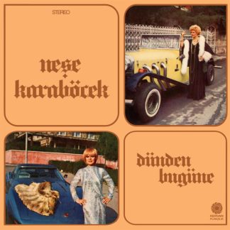 Neşe Karaböcek – Dünden Bugüne  Plak