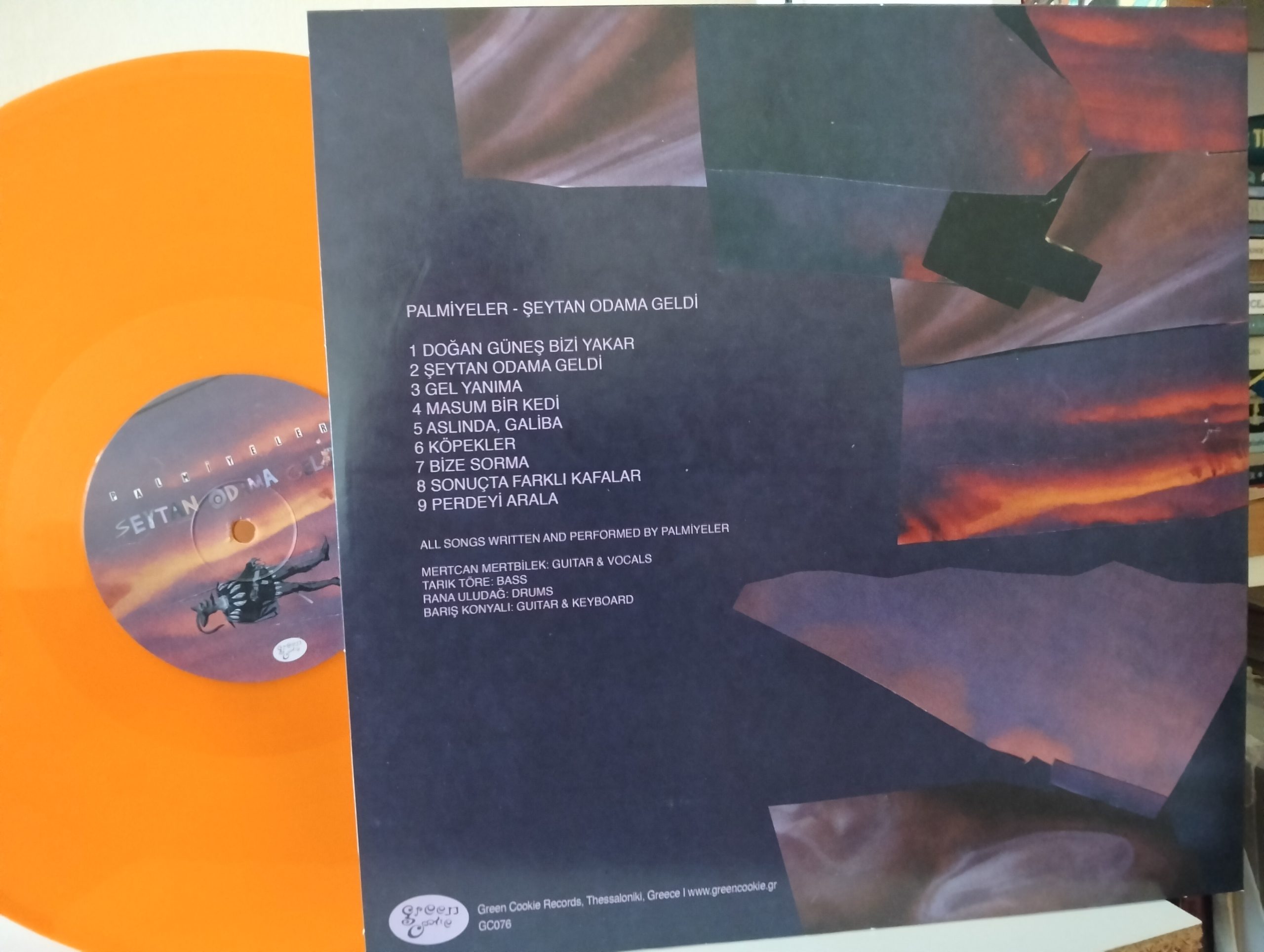 Palmiyeler – Şeytan Odama Geldi Plak - Görsel 2
