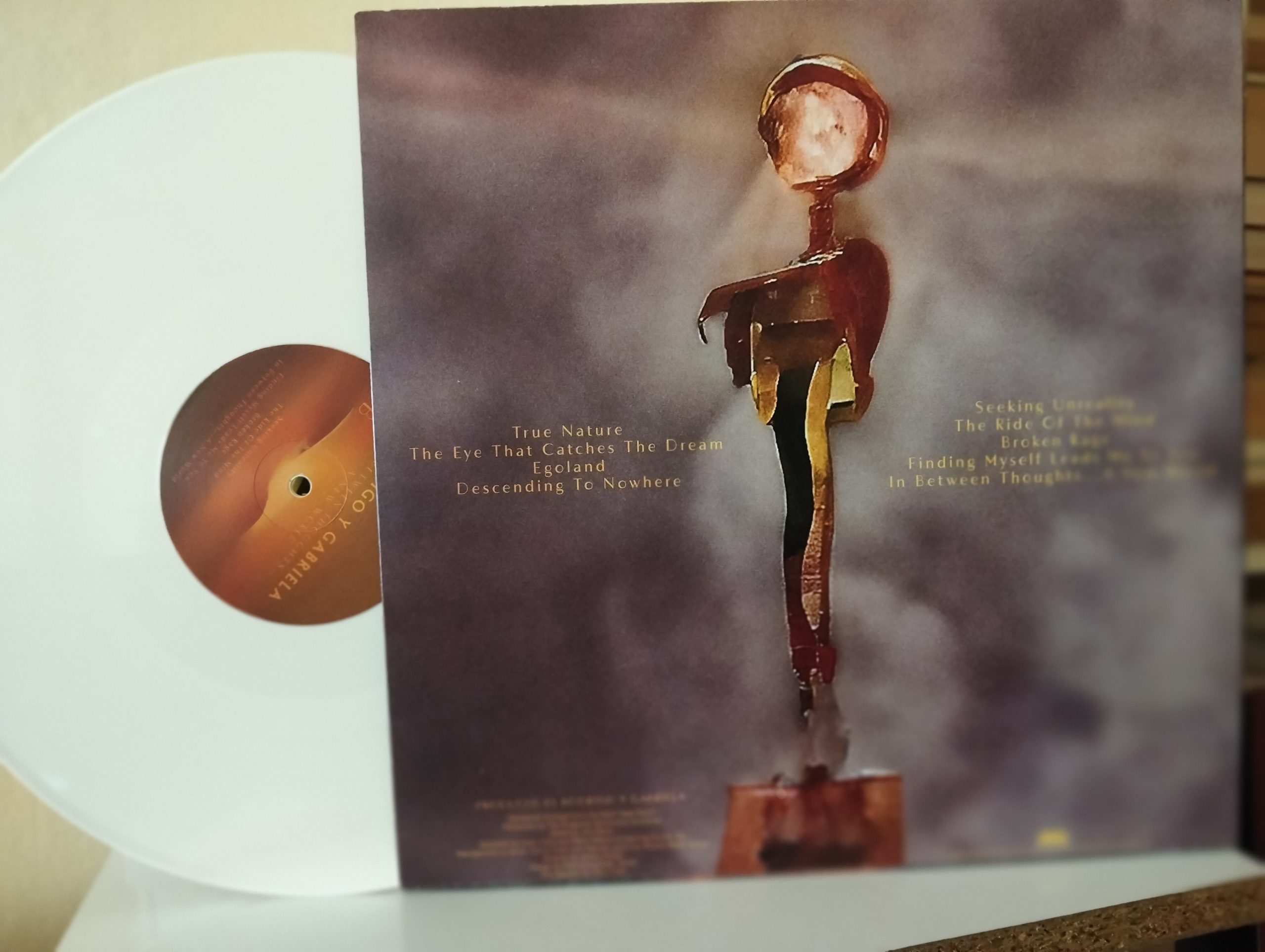 Rodrigo Y Gabriela – In Between Thoughts... A New World Plak - Görsel 2