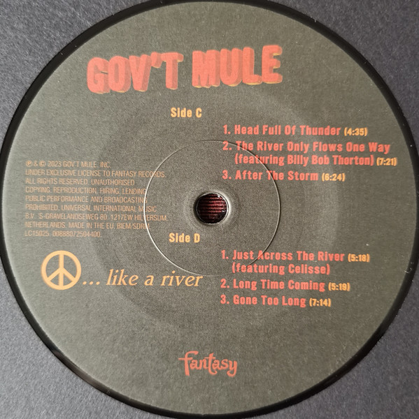 Gov't Mule – Peace...Like A River Plak - Görsel 10