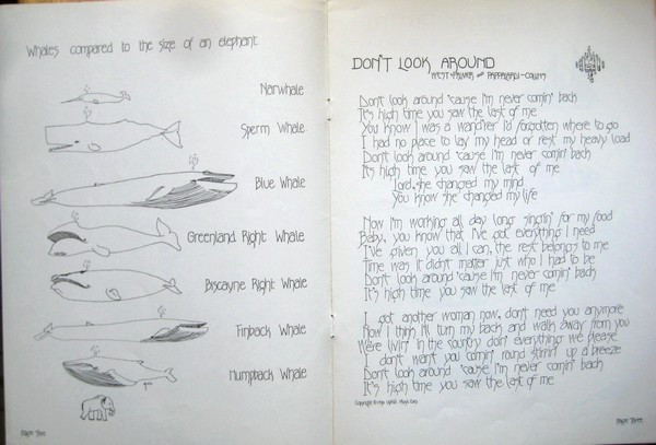 Mountain – Nantucket Sleighride Plak - Görsel 11