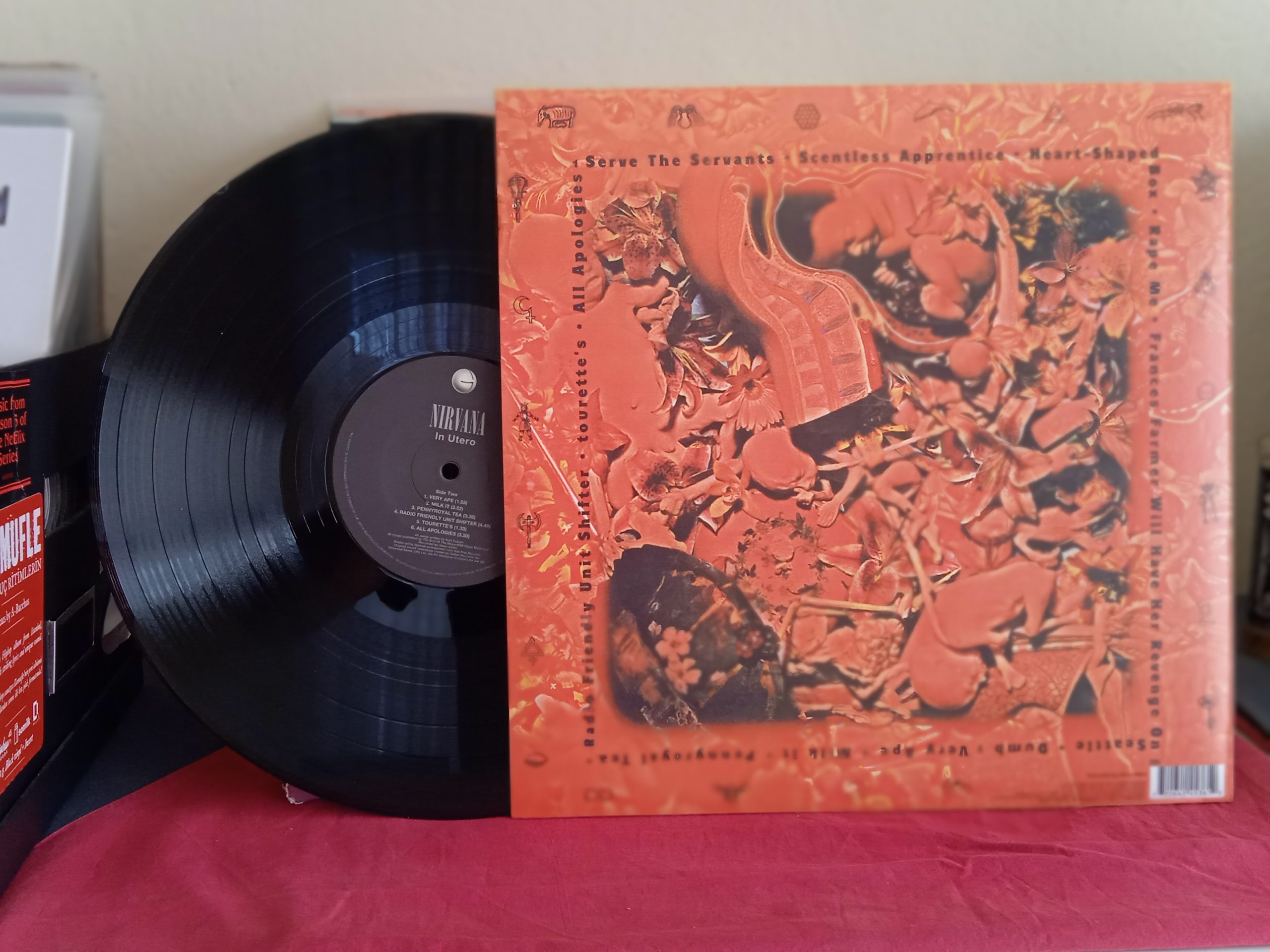 Nirvana – In Utero Plak - Görsel 2