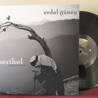 Erdal Güney -  Perihel Afel - Plak