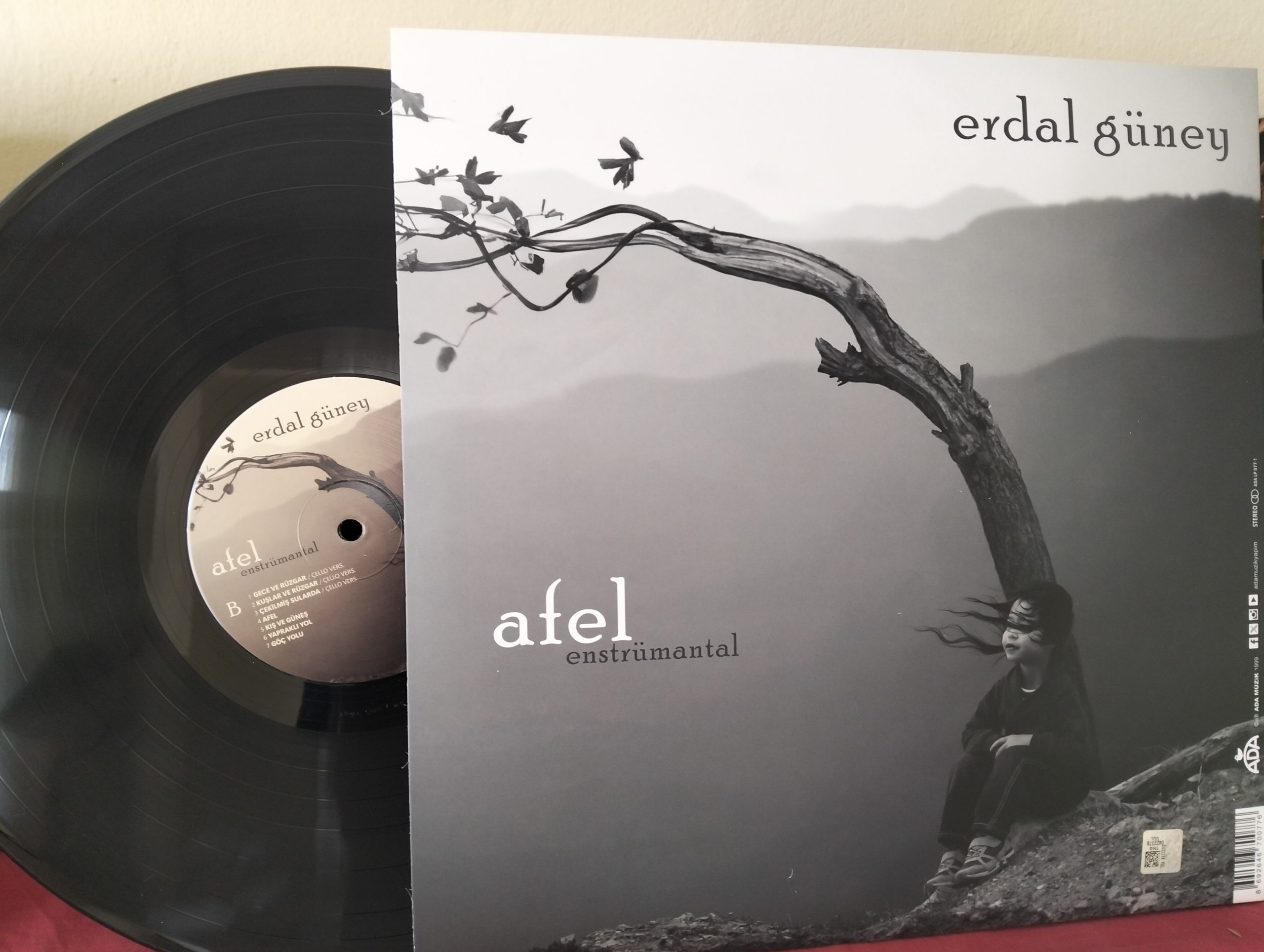 Erdal Güney - Perihel Afel - Plak - Görsel 2