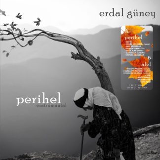 Erdal Güney -  Perihel Afel - Plak