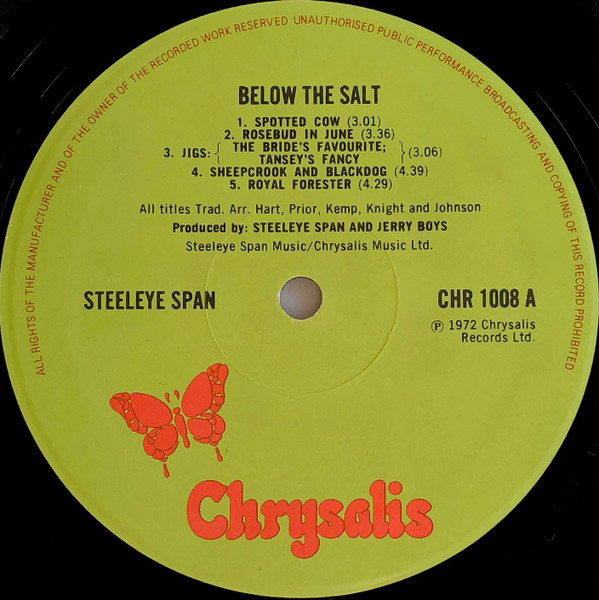 Steeleye Span – Below The Salt Plak - Görsel 5