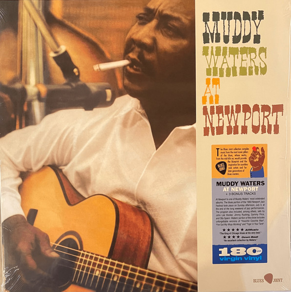 Muddy Waters – At Newport Plak - Görsel 4